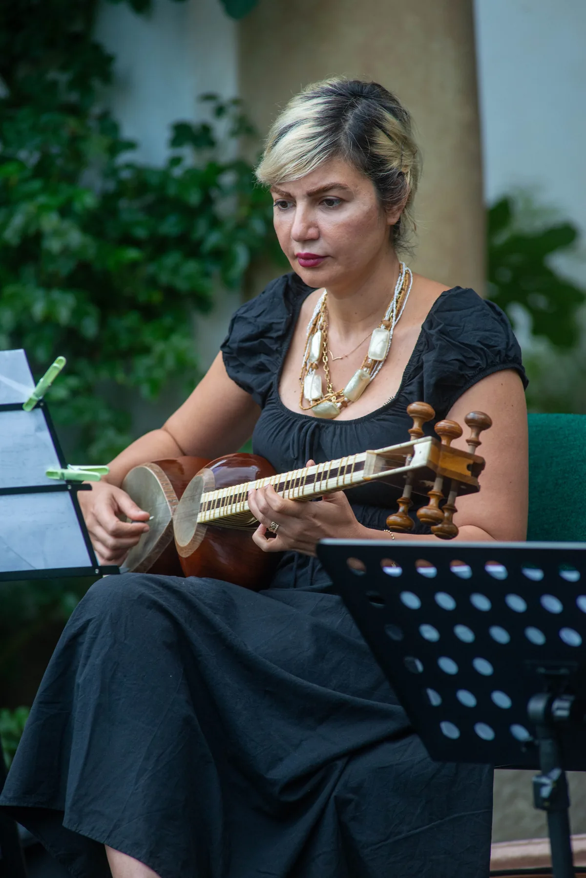 Film at the Manor — muzician cu ud