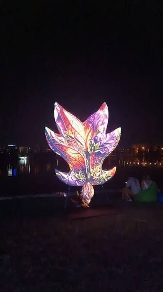 Forme care tac / Forme care luminează — video mapping colorat, noaptea