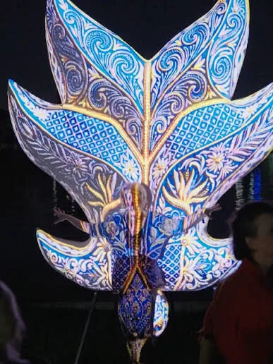 Forme care tac / Forme care luminează — video mapping albastru, noaptea