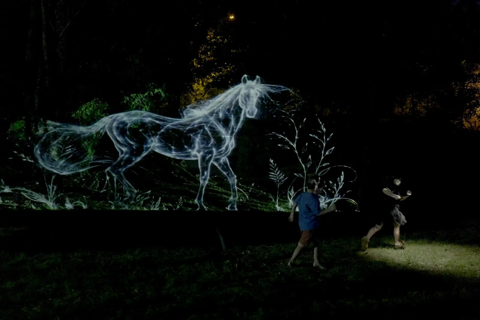 Forme care tac / Forme care luminează — video mapping cal, Balkanik Festival