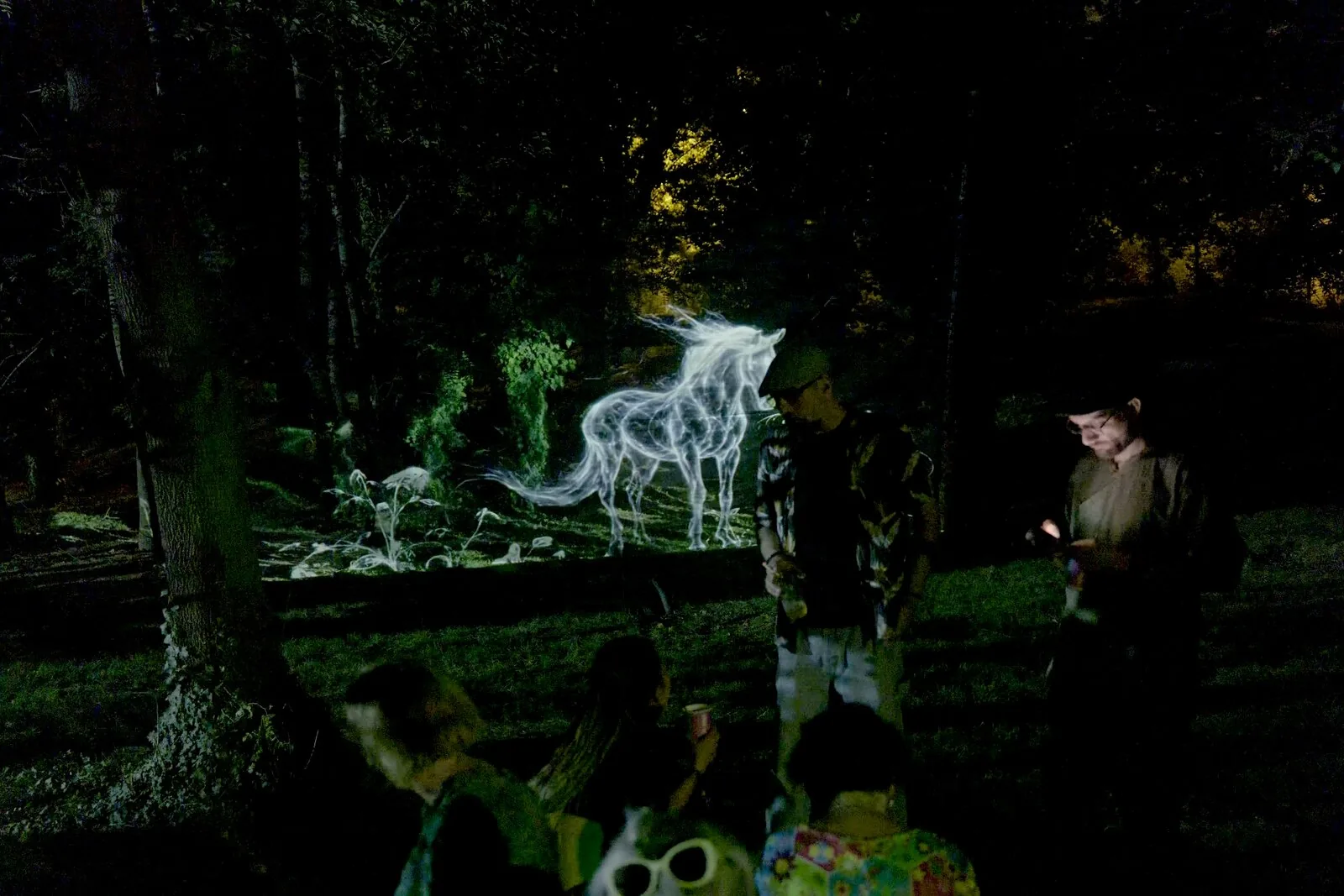 Forme care tac / Forme care luminează — public urmărind mapping-ul cu calul