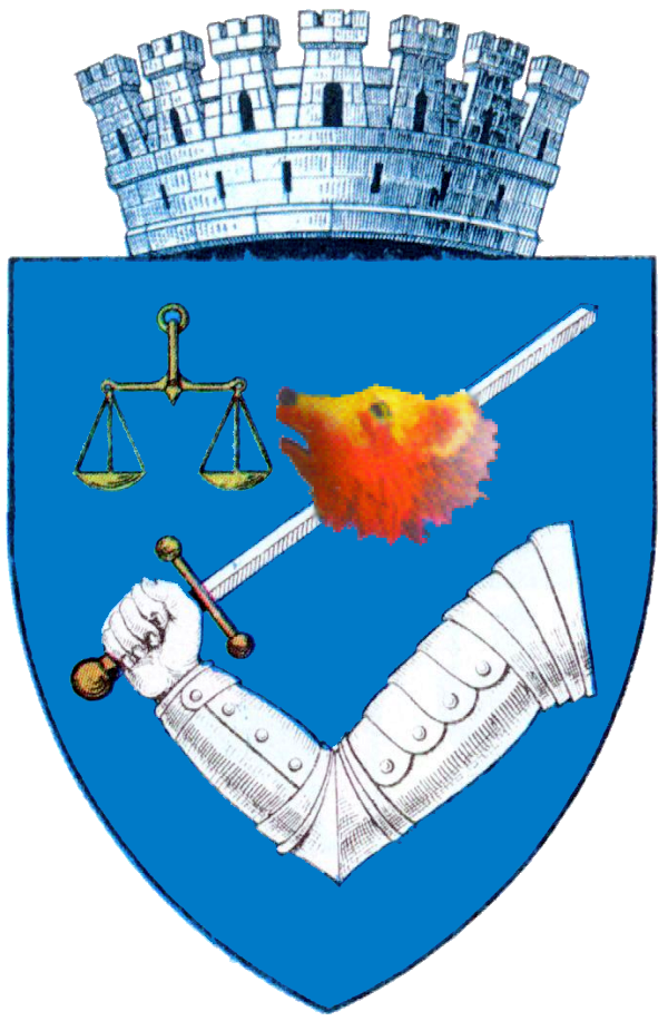 Târgu Mureș City Hall